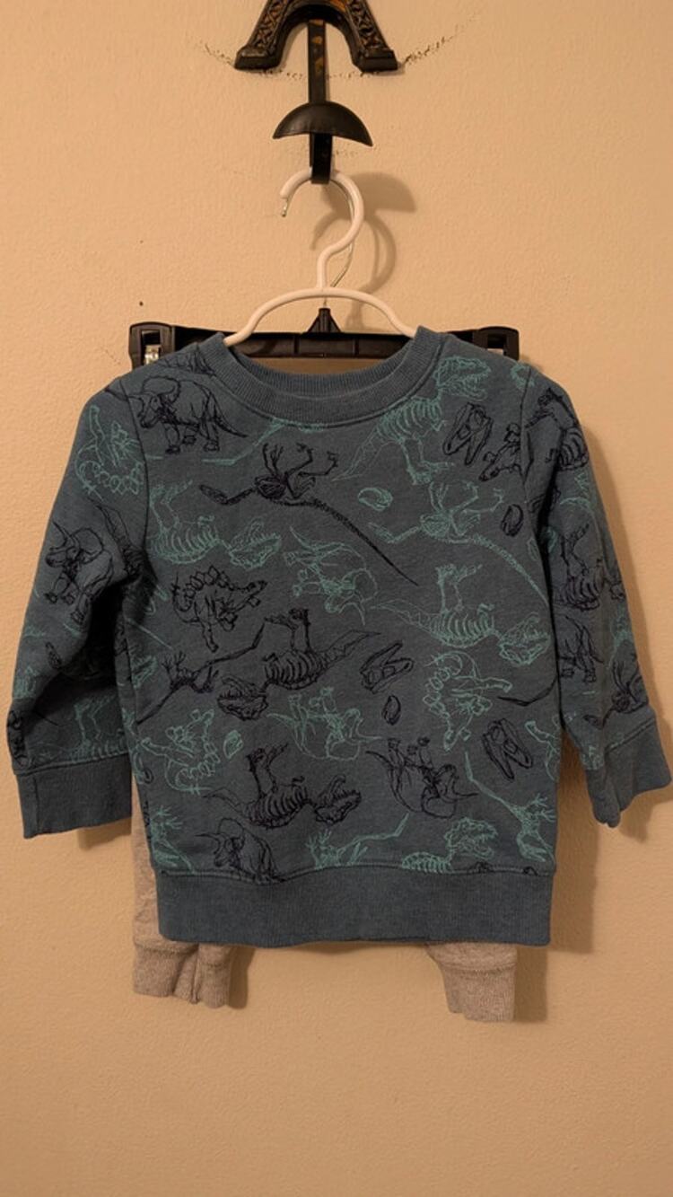 Boys Size 2T Outfit Blue Cat & Jack Dino Sweatshirt & Gray Carter's Sweatpants